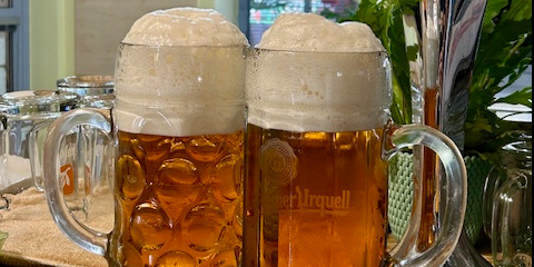 Pivo