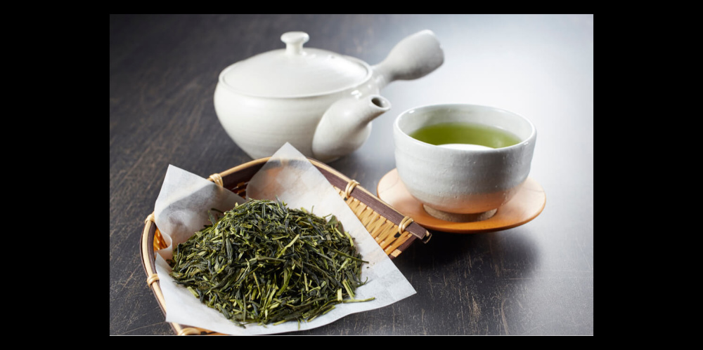 Sencha