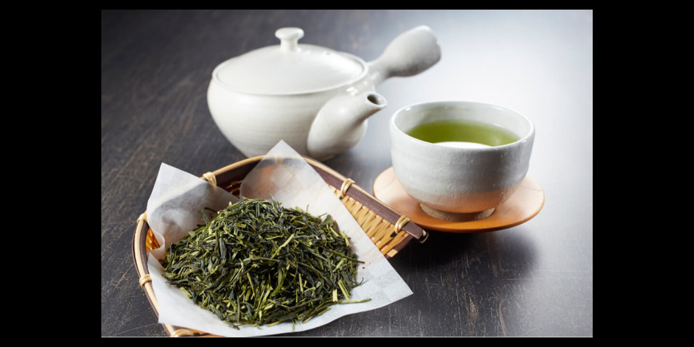 Sencha
